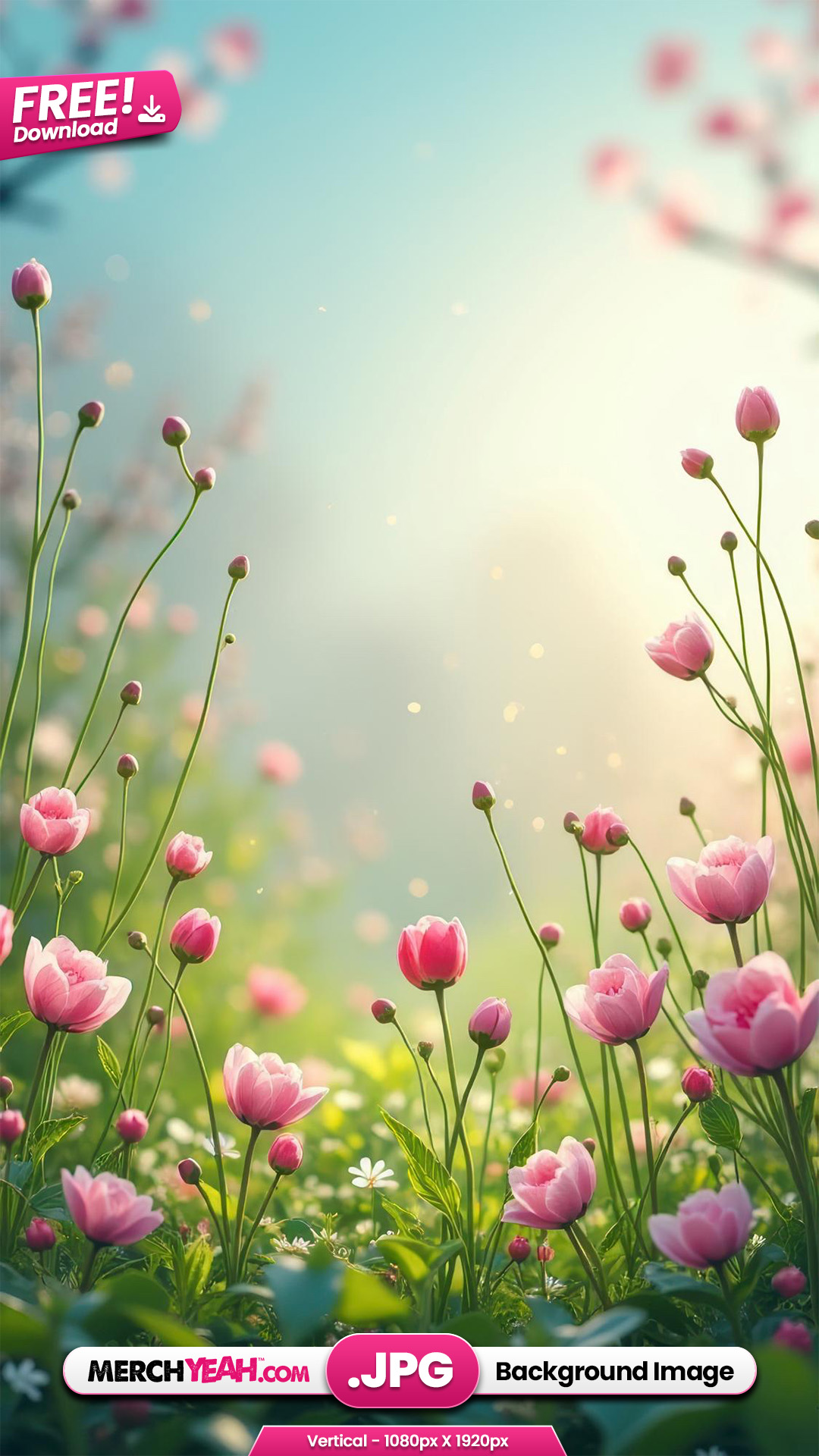 Spring Flowers