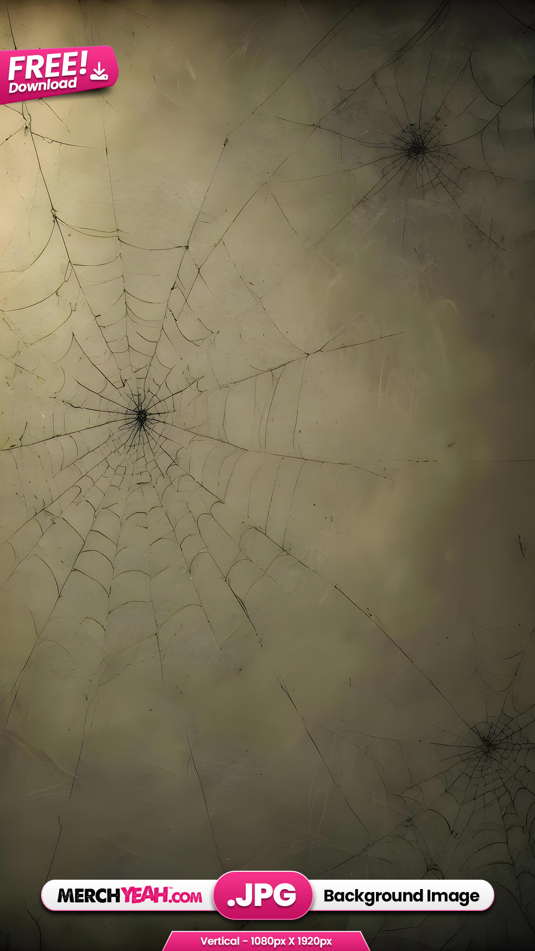 Spiderwebs 