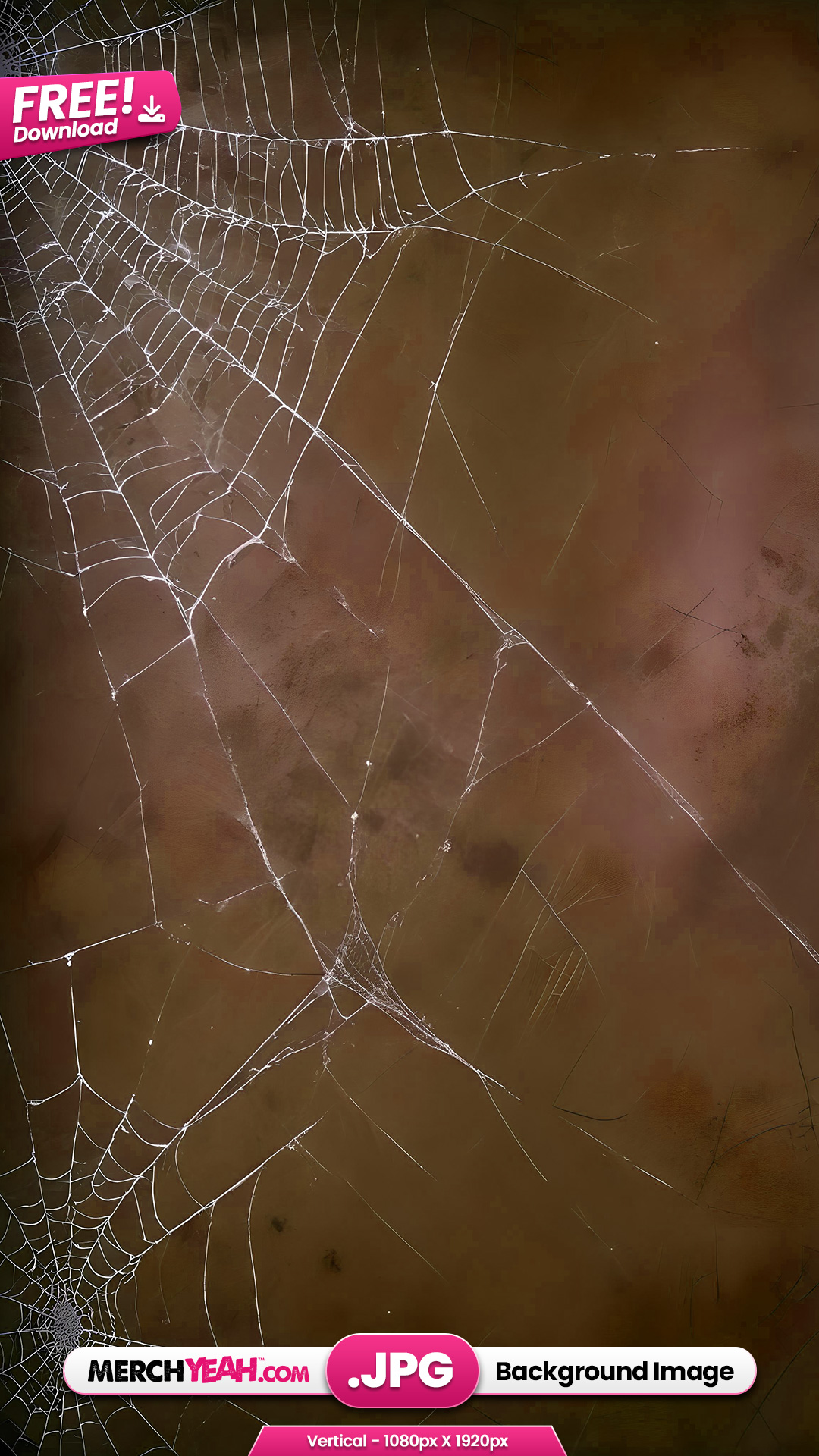 Grunge Cobweb Background